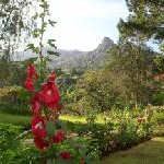 „Wageni ni baraka – Gäste sind ein Segen“