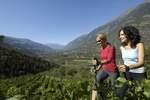 Gut zu Fuß in Lana: Kneipp- und Sonnenaufgangstouren im Apfelparadies