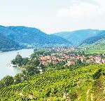 Restaurant zum alten Zechhaus: Slow Food und beste Bouteillen