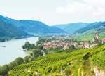 Herbst in Niederösterreich: Thal Wachau – die „Ur-Zelle“ des österreichischen Weinbaus