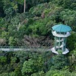 Im Rainforest Development Centre den Regenwald erkunden
