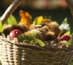 Törggelen dreimal anders