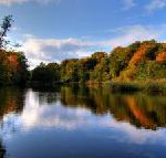 Wald- und Heideparadies Old English Countryside: The New Forest