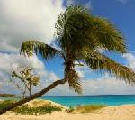 Bunte Strände – Urlaub an schwarzen, pinken, grünen, roten oder weißen Stränden mit lastminute.de