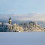 Alpine Pearls: Grashüpfer springen auch im Schnee