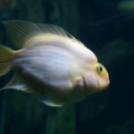 Mallorca: Liebe kurios & Michael Douglas