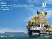 Lissabon: Frösche und Co. halten Einzug in das Ozeanarium