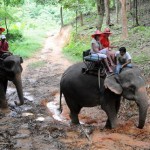 Tourismus auf Augenhöhe –  Authentischer Thailand-Urlaub in der Beluga