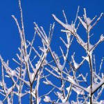 Nordischer Winterurlaub: Tiefschnee garantiert