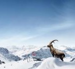 Graubünden: Erlebnisse im Winterwunderland – mal rasant, mal entspannt
