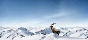 Graubünden: Erlebnisse im Winterwunderland – mal rasant, mal entspannt