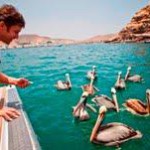 PromPerú mit Fabien Cousteau