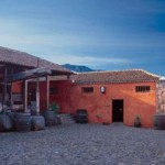 Wein aus Teneriffa – ein Inselschatz für Kenner