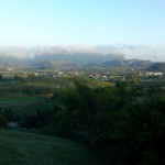 TUI: Cholera-Ansteckungsgefahr für Urlauber sehr gering