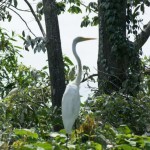 Studiosus mit Deutschem Nachhaltigkeitspreis für „nachhaltigste Zukunftsstrategie“ ausgezeichnet