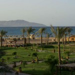 Lage in Tunesien, Presse-Information Nr. 8 – TUI sagt Tunesien-Reisen bis einschließlich 15. Februar ab