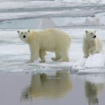 Auf den Spuren des Klimawandels nach Nord-Europa