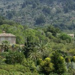 TUI bietet grünen Ausflug: Nordic Walking auf Mallorca