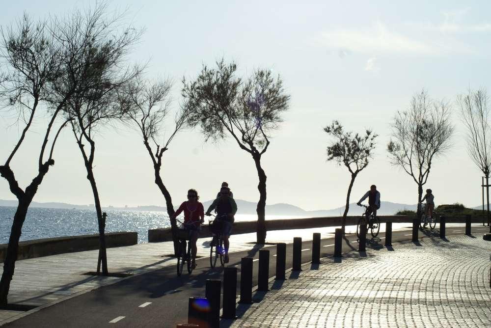 Radfahren auf Mallorca – Tipps für Touristen in Palma und auf der Insel