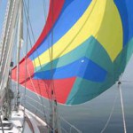 Segel-Theorie lernen – auch im Fernkursverfahren