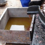 Costa Navarino lädt im zweiten Jahr zur traditionellen Olivenernte