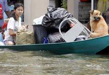 Hilfe für Flutopfer in Thailand