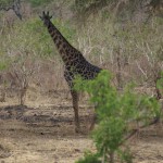 Mit Jahn Reisen zur „Wiege der Menschheit“