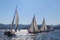 AMS Sailing Cup in Kroatien