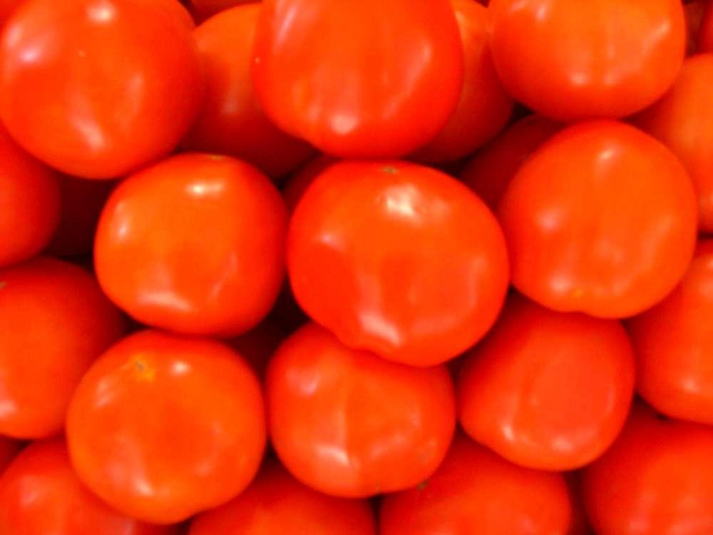 Kartenvorverkauf für die Tomatenschlacht von Buñol