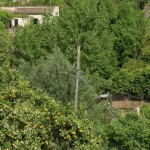 From Mallorca with energy