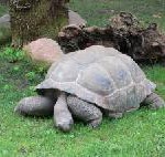 Ein Beispiel für Umweltverantwortung auf Galápagos: