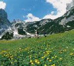 Krönender Abschluss: Die Zugspitze feiert ihr großes Winter-Finale