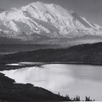 Kunst und Technologie „state of the art“ – Sharp und die Wiener Secession bekräftigen langfristige Partnerschaft