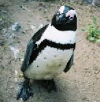 Kaspersky Lab auf LinuxTag in Berlin