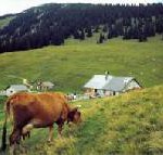 Im Rhythmus der Berge: Alm-Wandern in Garmisch-Partenkirchen
