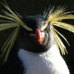 First Open Source Appliance Development Stack Builder Now Available in Fedora 7