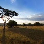 Händler im „Safari Fieber“: O2, Herweck und Nokia eröffnen die Jagd auf das BIG STEP Incentive nach Südafrika
