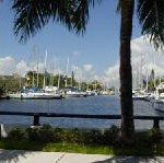Schneevögel, blaue Engel und goldene Ritter über Fort Lauderdale
