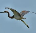 Lufthansa veröffentlicht Nachhaltigkeitsbericht 2007