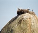 Das Beste aus 20 Jahren ORF- „Universum“ unter Pannoniens Sternenhimmel