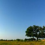 Thomas Cook Reisen: Safari a la Carte