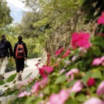 Aufblühen in den Vitalpina Hotels Südtirol