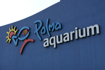 Palma Aquarium auf Mallorca - Staunen zwischen Haien, Fischen und Algen (09010) Foto: ©Carstino Delmonte (2009)