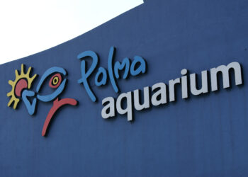 Palma de Mallorca, Spanien – Palma Aquarium