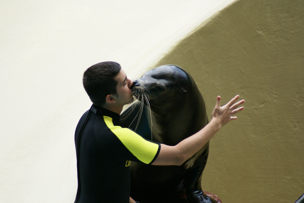 Teneriffa - Loro Parque: Flora, Fauna, wilde Tiere und Delfinshows (09301) Foto: ©Carstino Delmonte (2009)