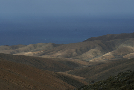 Fuerteventura - Kanarische Inseln, Spanien (07809) Foto: ©Carstino Delmonte (2009)