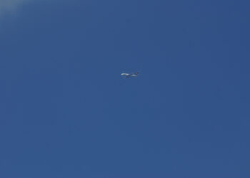 Airbus A 380 Lufthansa – Trainingsflüge über Europa: Stopp in Düsseldorf