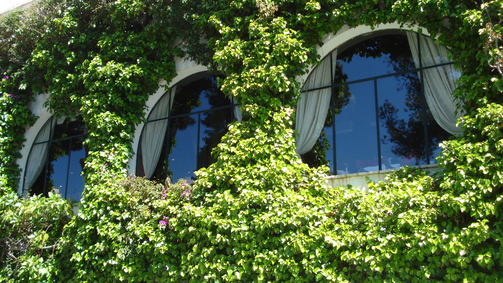 Hotel BonSol in Illetas nahe Palma de Mallorca, der Inselhauptstadt der Balearen