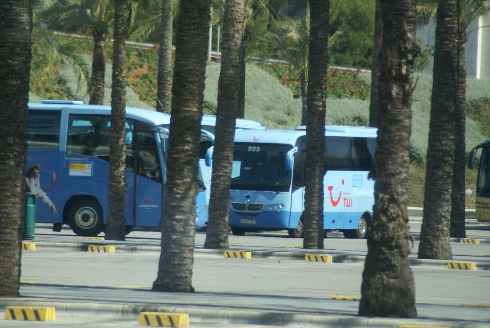 Reiseanbieter Tui stattet Busflotte auf Mallorca mit Infotainment aus