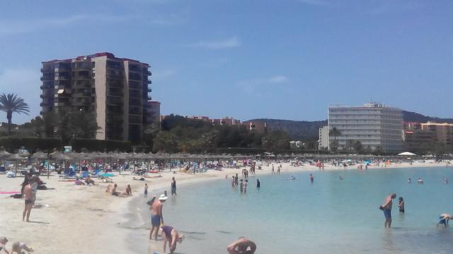 Haie, Quallen, Klopapier: Die Wasserqualität auf Mallorca bleibt problematisch